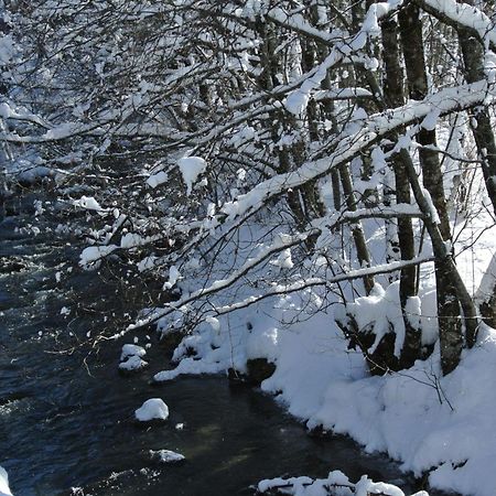 Hotel Et Spa Le Vermont Le Grand-Bornand Bagian luar foto