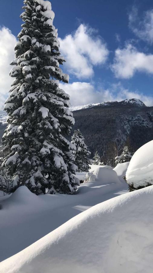 Hotel Et Spa Le Vermont Le Grand-Bornand Bagian luar foto