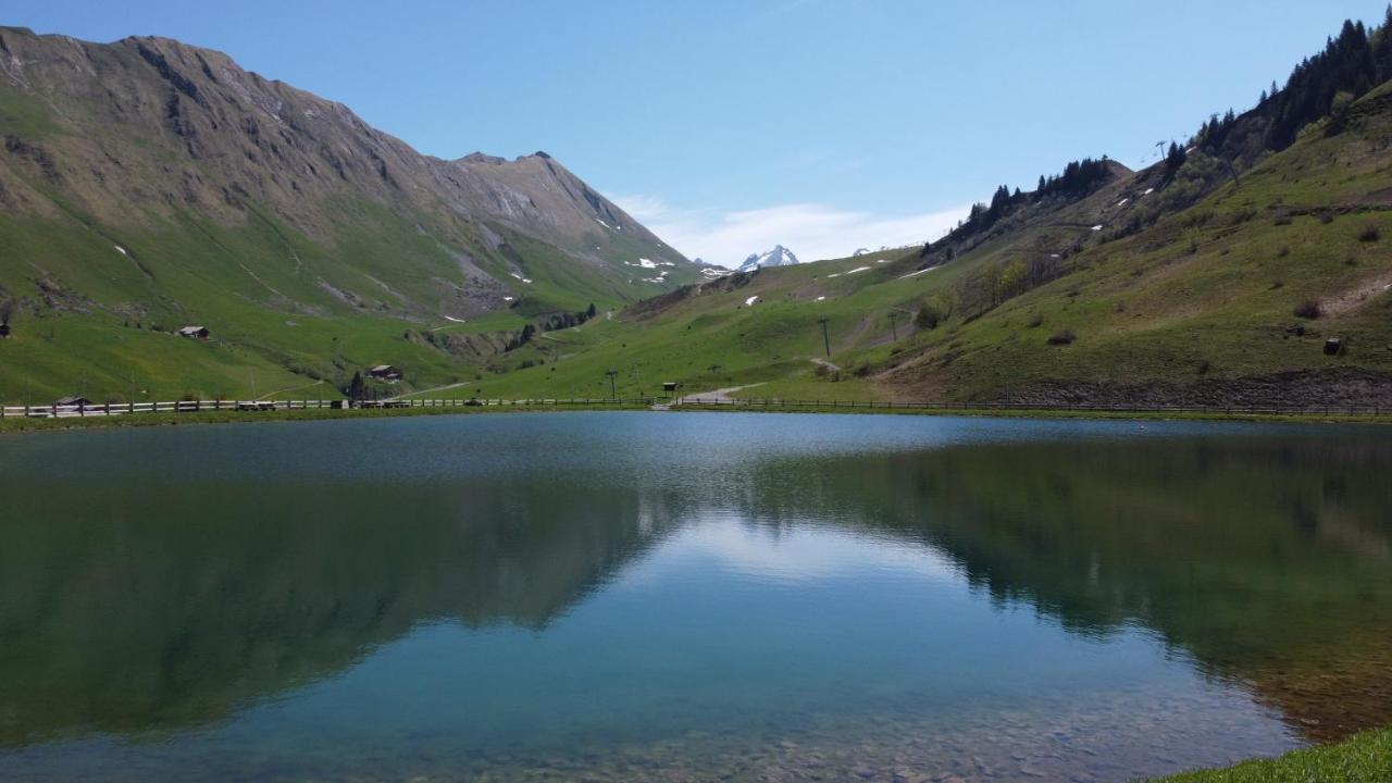 Hotel Et Spa Le Vermont Le Grand-Bornand Bagian luar foto